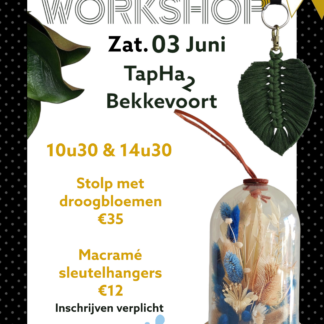 Workshop Stolp met droogbroemen 3/5/2023 TapHa2